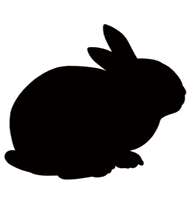 うさぎちゃんアイコン