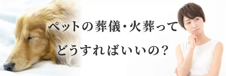 ペットの葬儀・火葬